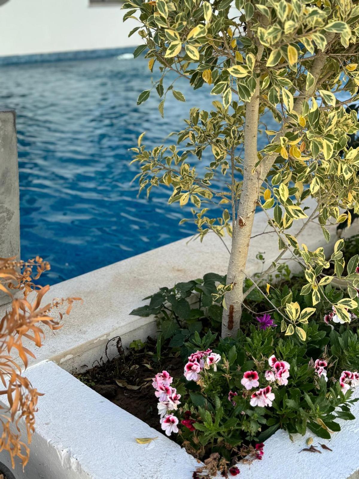 La Cascade Hammam Al Ghazzaz Διαμέρισμα Kelibia Εξωτερικό φωτογραφία
